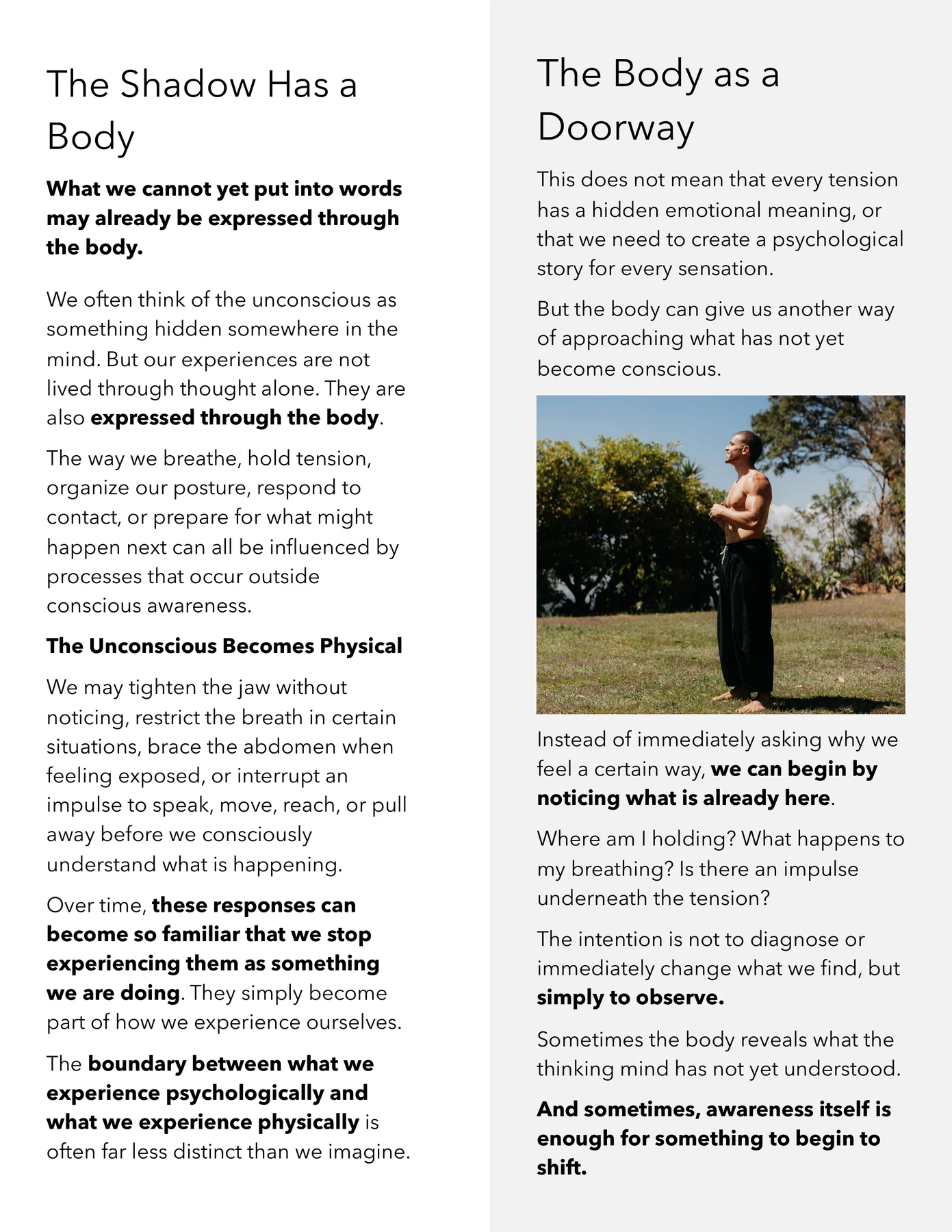 Interior page from Movement Beyond Exercise — The Shadow Has a Body